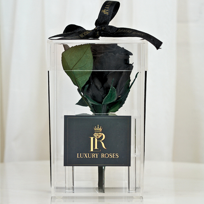 LONG LASTING BLACK ROSE - ACRYLIC BOX