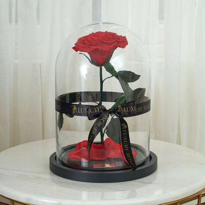 LONG LASTING RED ROSE - JUMBO