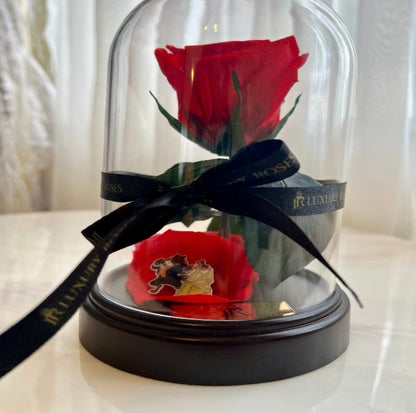 VALENTINE´S DAY BEAUTY AND THE BEAST DOME