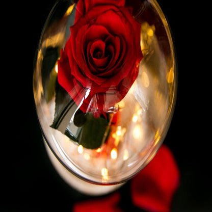 CHRISTMAS ROSE DOME WITH LIGHTS