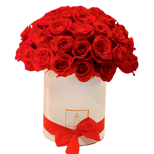 FRESH ROSES DELUXE ROUND BOX