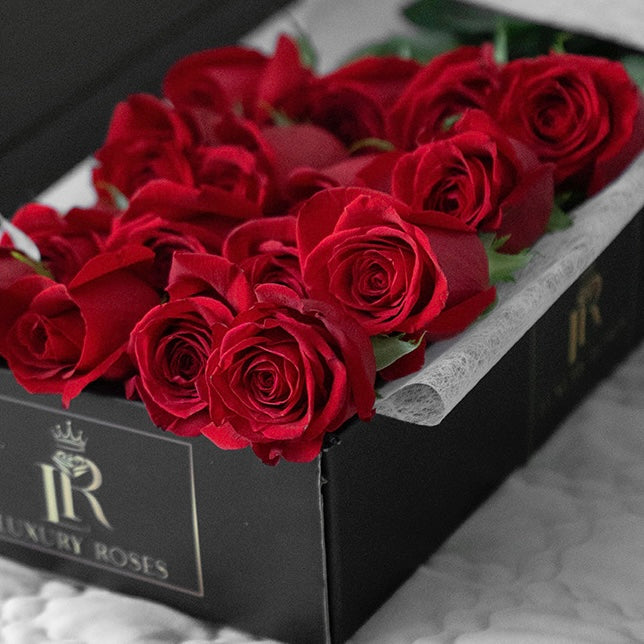 VALENTINE´S DAY RED ROSES LUXURY BOX