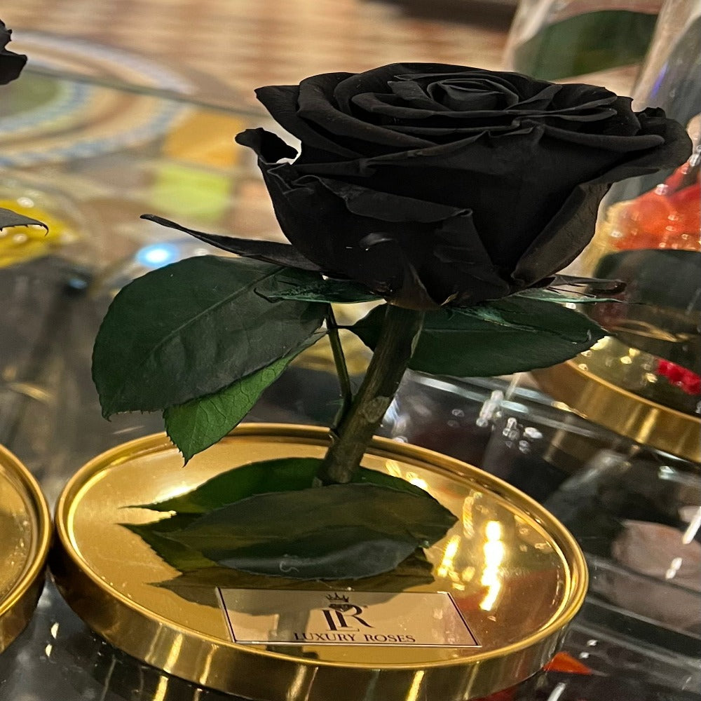 LONG LASTING ROSE - SMALL BLACK