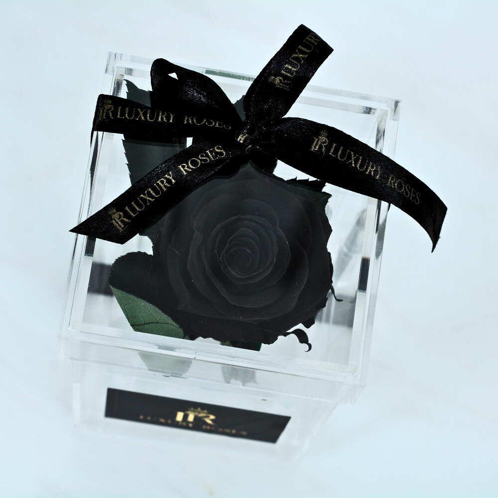 LONG LASTING BLACK ROSE - ACRYLIC BOX