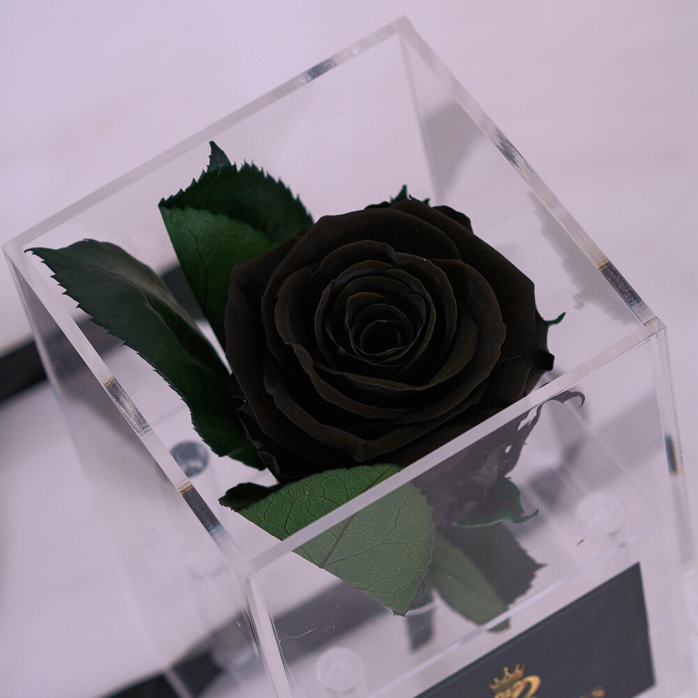 LONG LASTING BLACK ROSE - ACRYLIC BOX