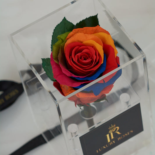 LONG LASTING RAINBOW ROSE - ACRYLIC BOX