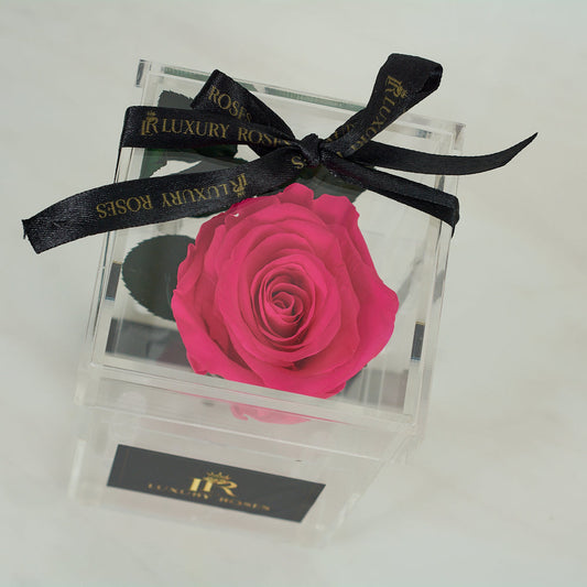 LONG LASTING DARK PINK ROSE - ACRYLIC BOX