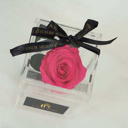 LONG LASTING DARK PINK ROSE - ACRYLIC BOX