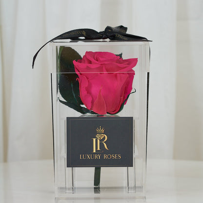 LONG LASTING DARK PINK ROSE - ACRYLIC BOX