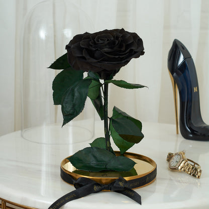 LONG LASTING ROSE - LARGE BLACK