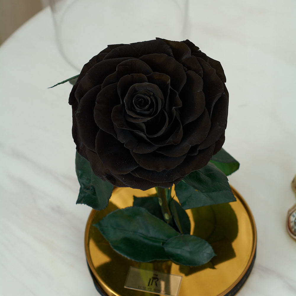 LONG LASTING ROSE - LARGE BLACK