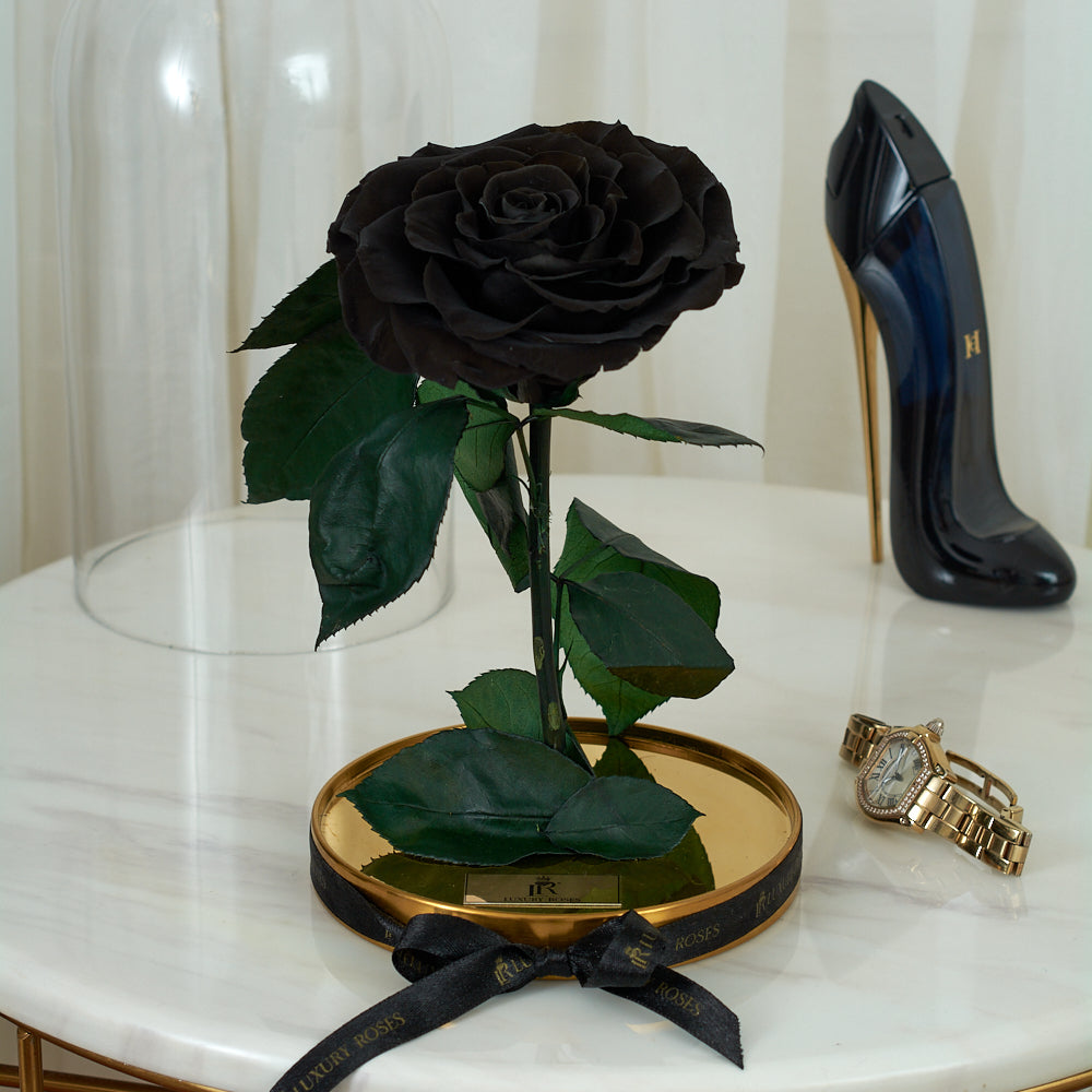 LONG LASTING ROSE - LARGE BLACK