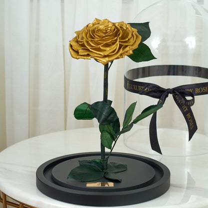 LONG LASTING ROSE - JUMBO GOLD