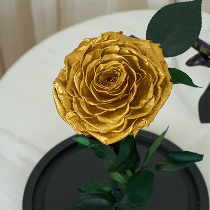 LONG LASTING ROSE - JUMBO GOLD