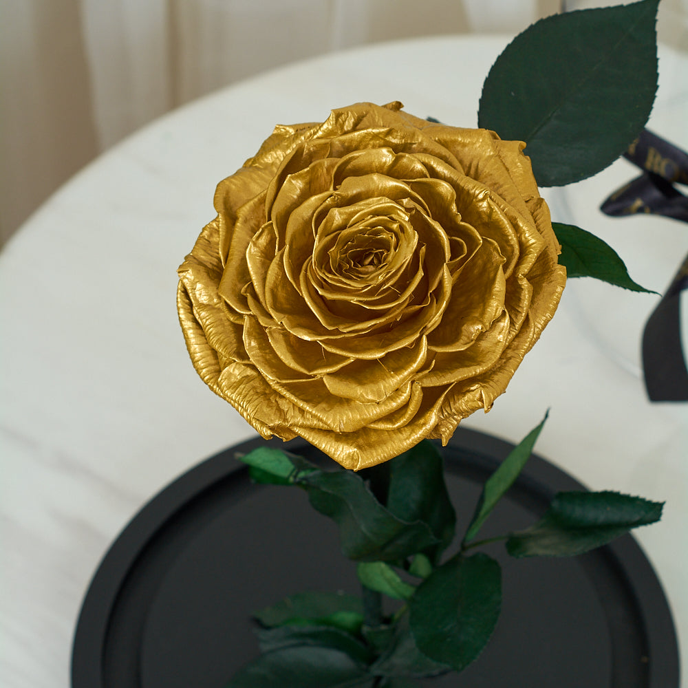 LONG LASTING ROSE - JUMBO GOLD