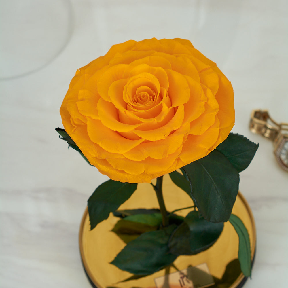 LONG LASTING ROSE - LARGE YELLOW