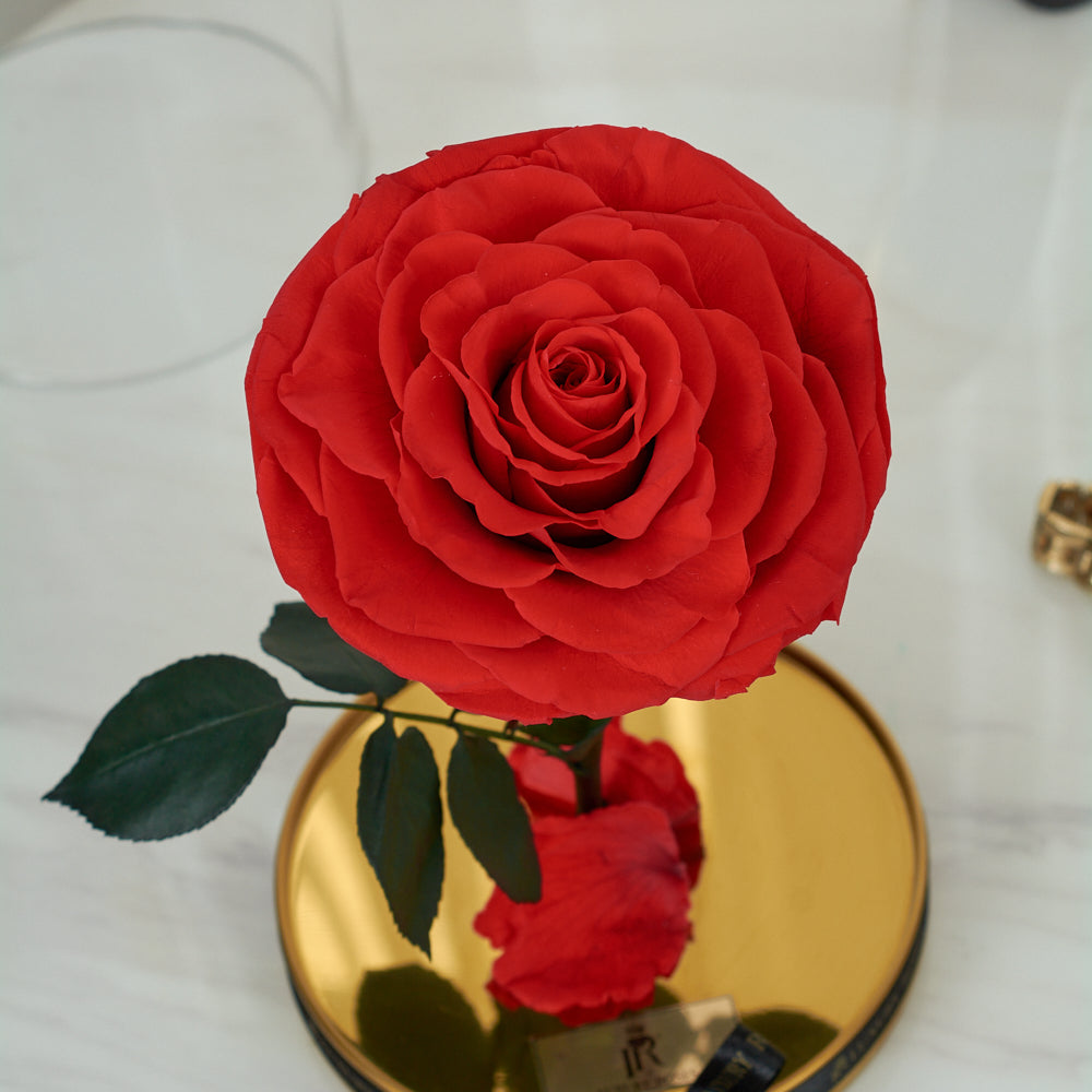 LONG LASTING ROSE - LARGE RED