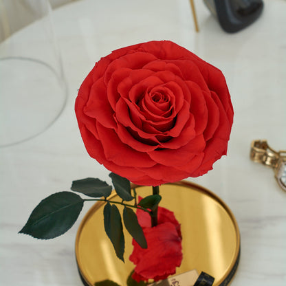 LONG LASTING ROSE - LARGE RED