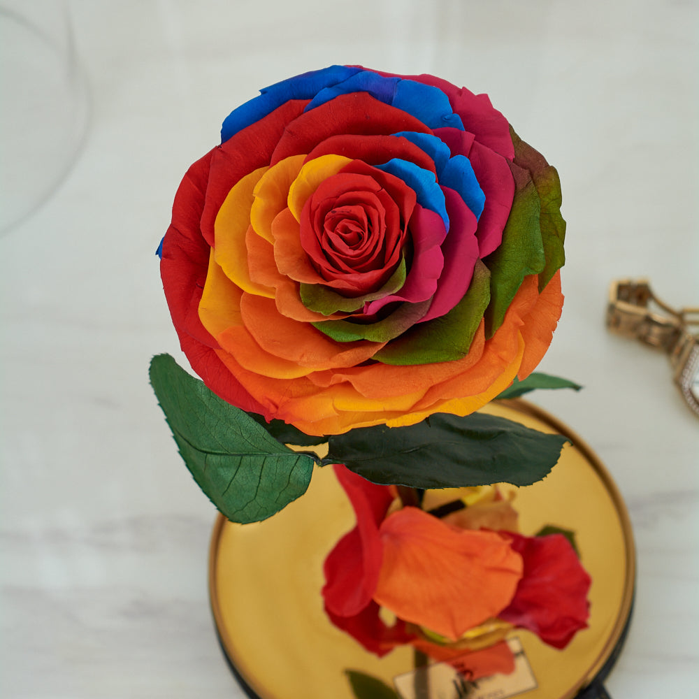 LONG LASTING ROSE - LARGE RAINBOW