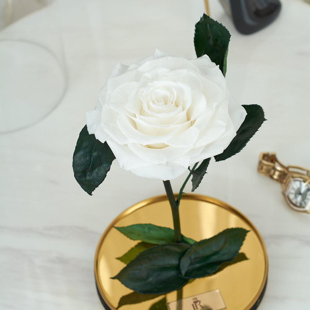 LONG LASTING ROSE - LARGE WHITE