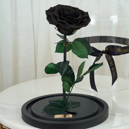 LONG LASTING ROSE - JUMBO BLACK