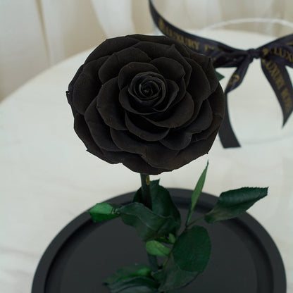 LONG LASTING ROSE - JUMBO BLACK