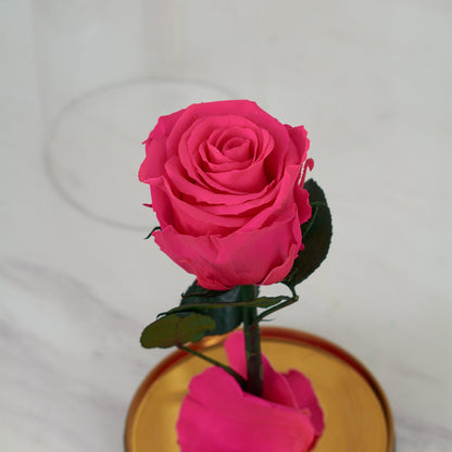 LONG LASTING ROSE - SMALL DARK PINK