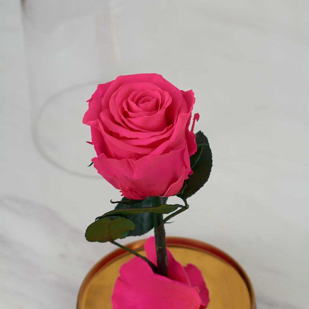 LONG LASTING ROSE - SMALL DARK PINK