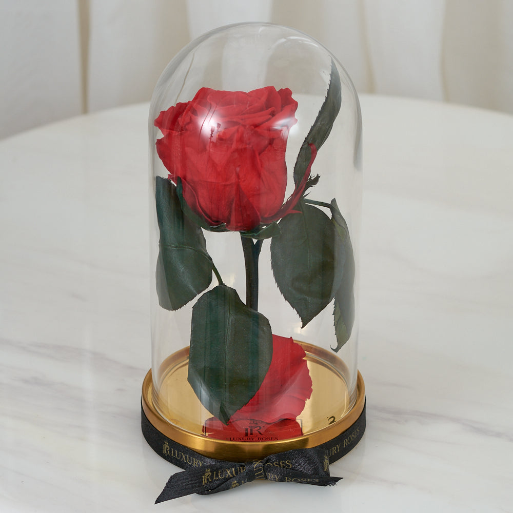 LONG LASTING ROSE - SMALL RED