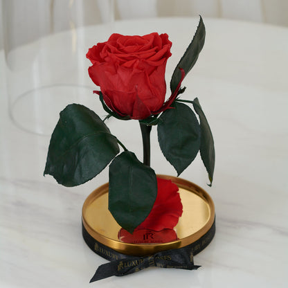 LONG LASTING ROSE - SMALL RED