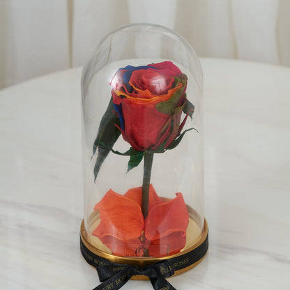 LONG LASTING ROSE - SMALL RAINBOW