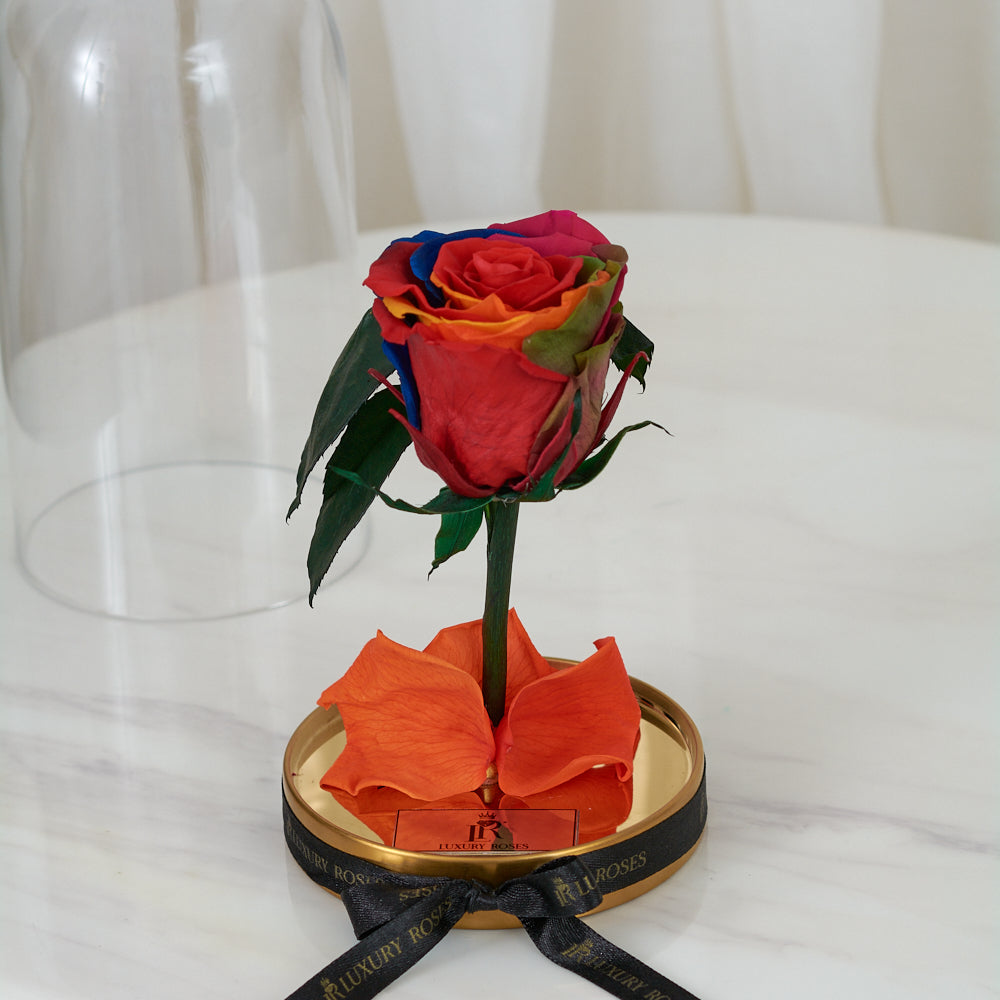 LONG LASTING ROSE - SMALL RAINBOW