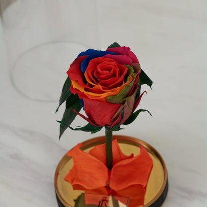 LONG LASTING ROSE - SMALL RAINBOW