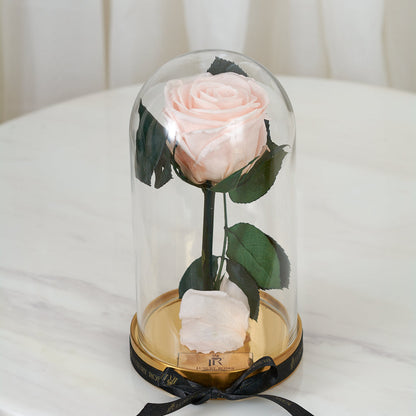 LONG LASTING ROSE - SMALL LIGHT PINK