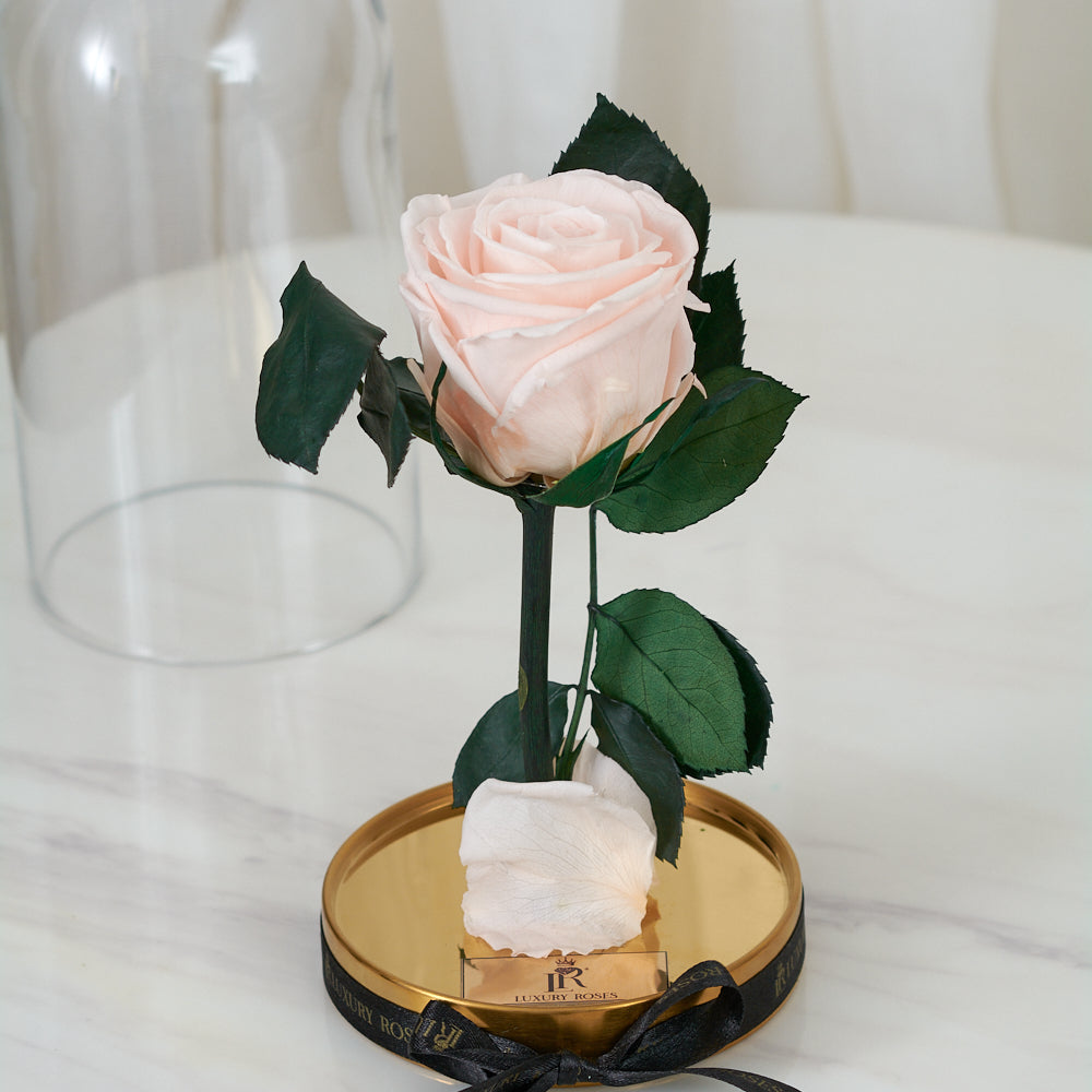 LONG LASTING ROSE - SMALL LIGHT PINK