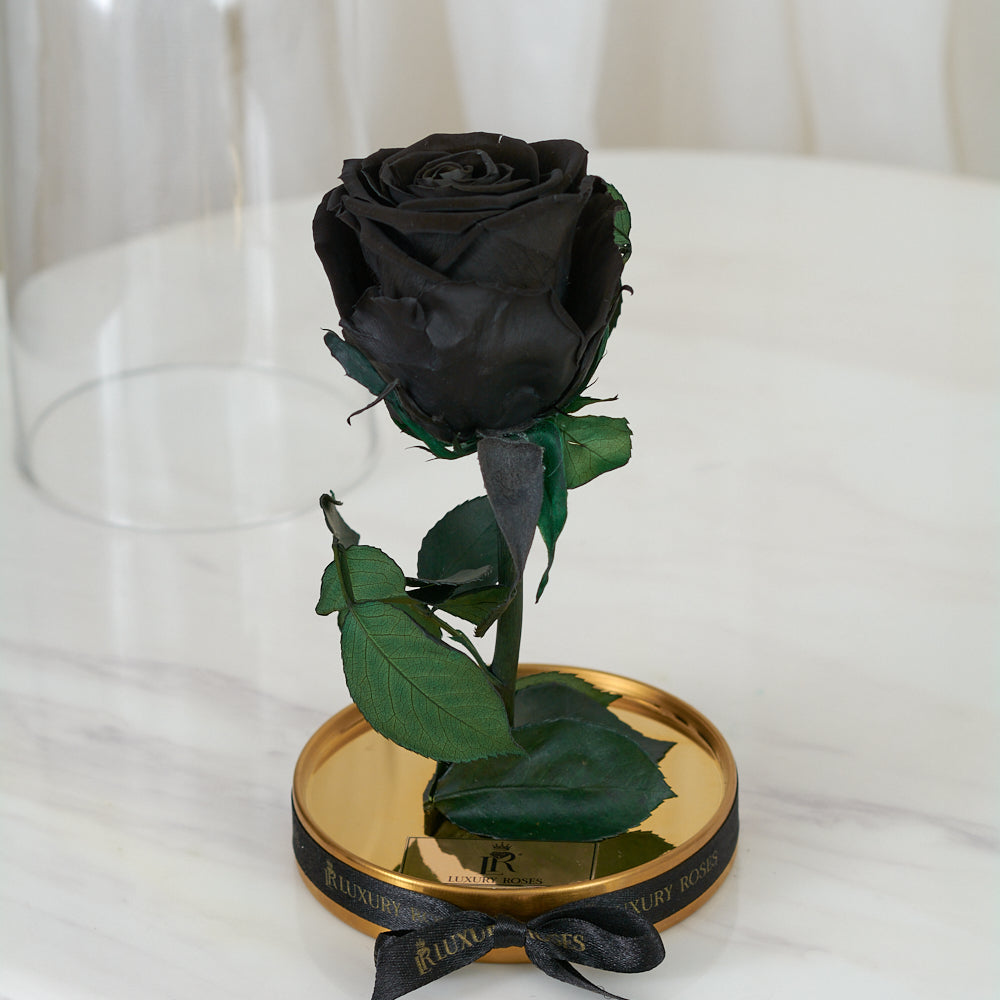 LONG LASTING ROSE - SMALL BLACK