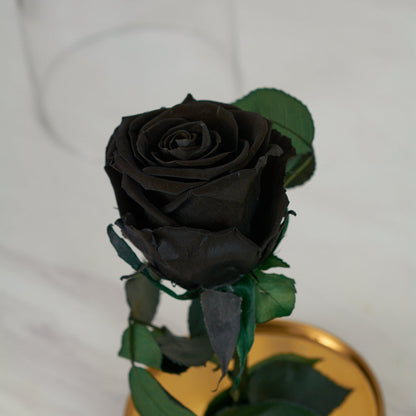 LONG LASTING ROSE - SMALL BLACK