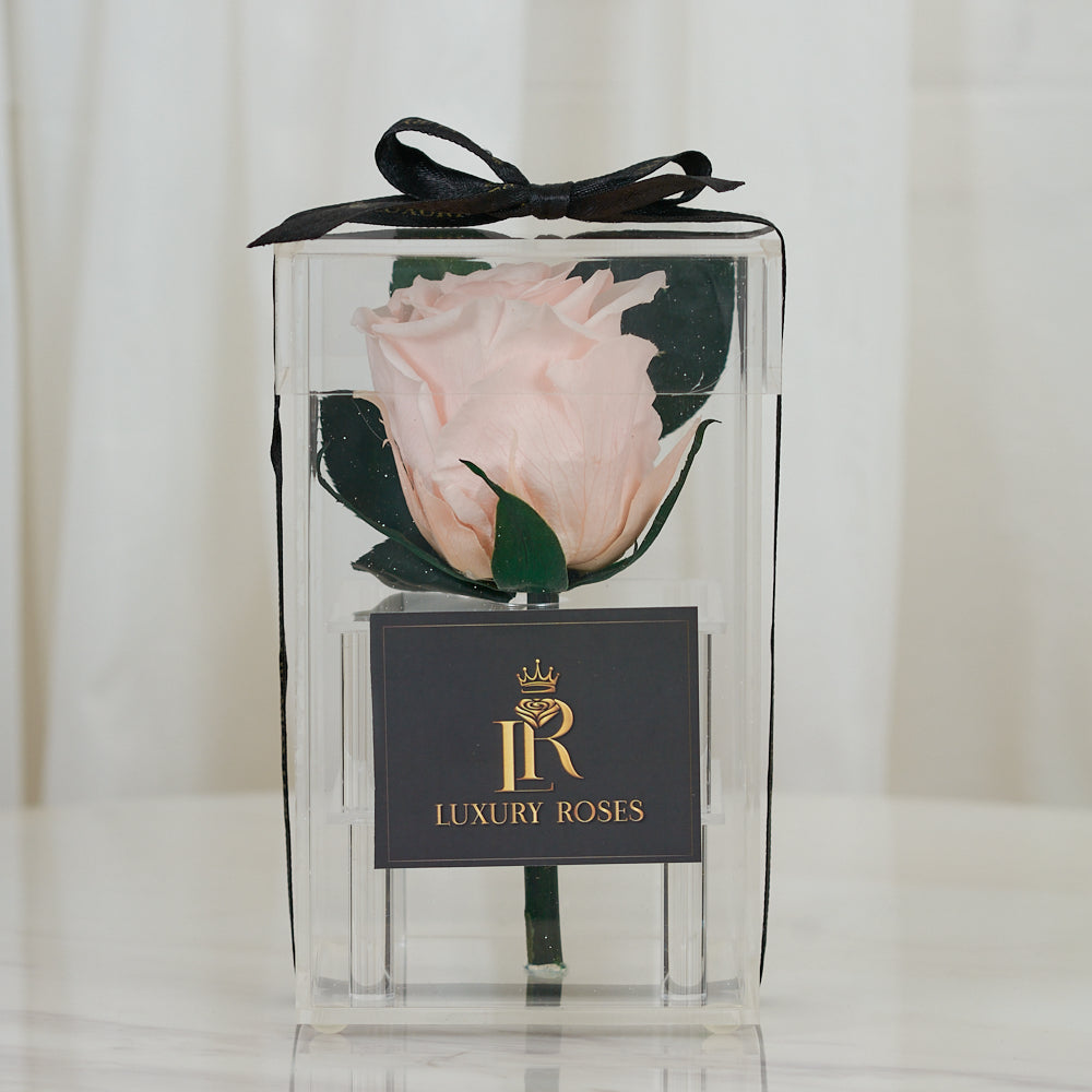 LONG LASTING LIGHT PINK ROSE- ACRYLIC BOX