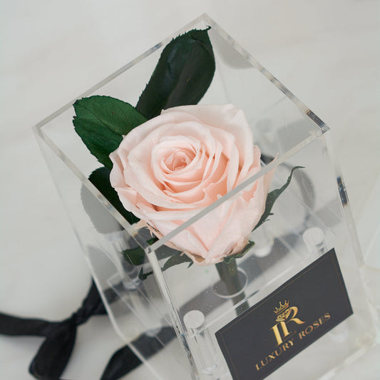 LONG LASTING LIGHT PINK ROSE- ACRYLIC BOX