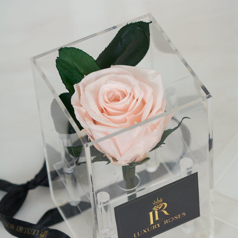 LONG LASTING LIGHT PINK ROSE- ACRYLIC BOX