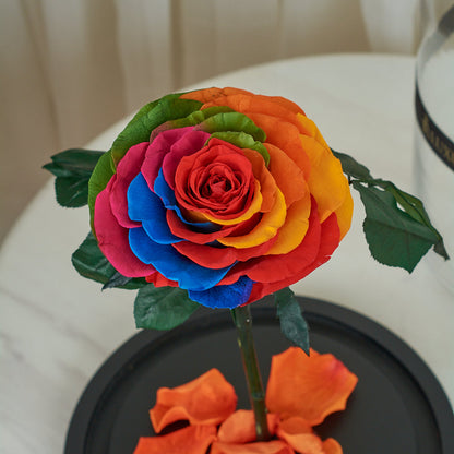 LONG LASTING ROSE - JUMBO RAINBOW