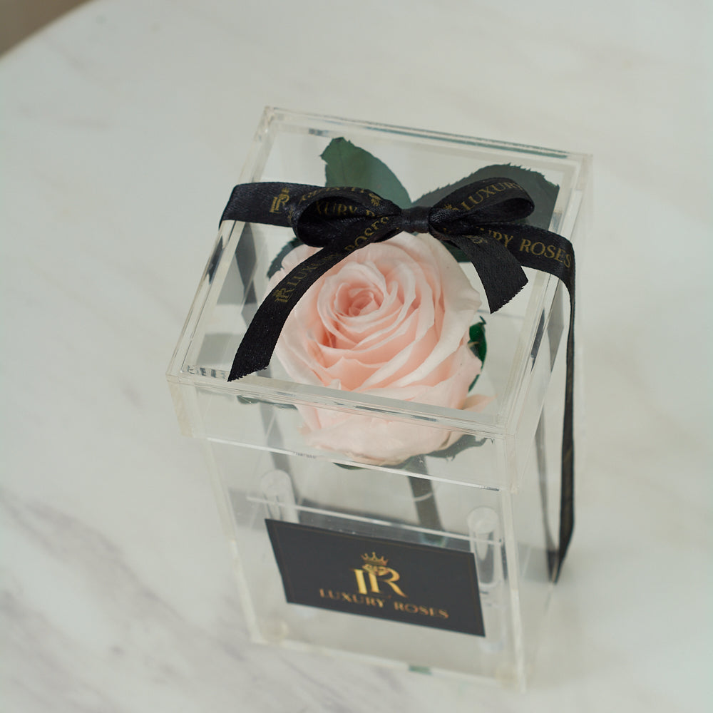 LONG LASTING LIGHT PINK ROSE- ACRYLIC BOX