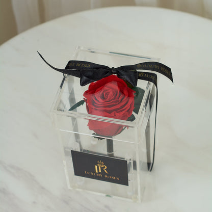 LONG LASTING RED ROSE - ACRYLIC BOX