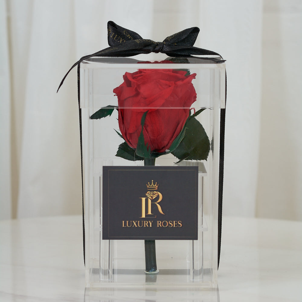 LONG LASTING RED ROSE - ACRYLIC BOX