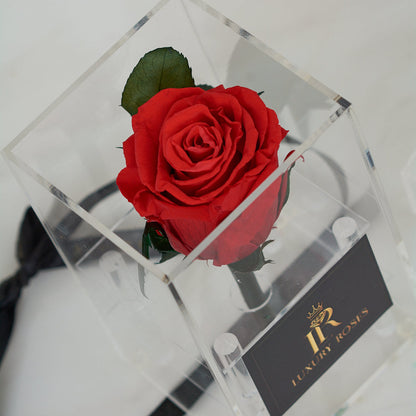 LONG LASTING RED ROSE - ACRYLIC BOX