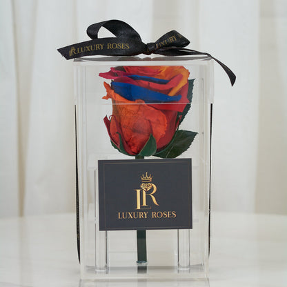 LONG LASTING RAINBOW ROSE - ACRYLIC BOX