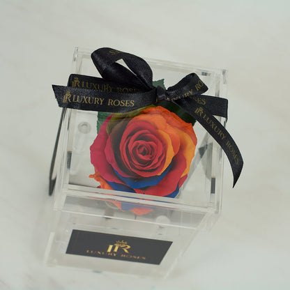 LONG LASTING RAINBOW ROSE - ACRYLIC BOX