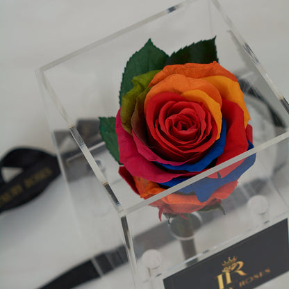 LONG LASTING RAINBOW ROSE - ACRYLIC BOX