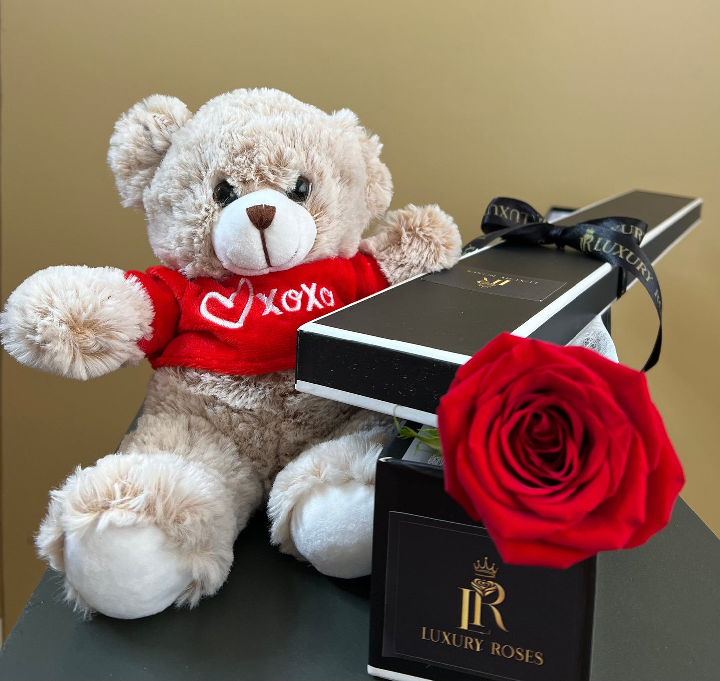 VALENTINE´S DAY SINGLE RED ROSE & TEDDY BEAR