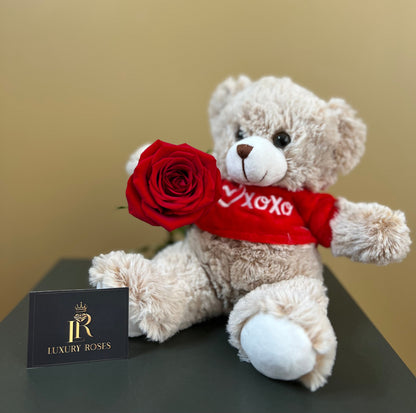 VALENTINE´S DAY SINGLE RED ROSE & TEDDY BEAR